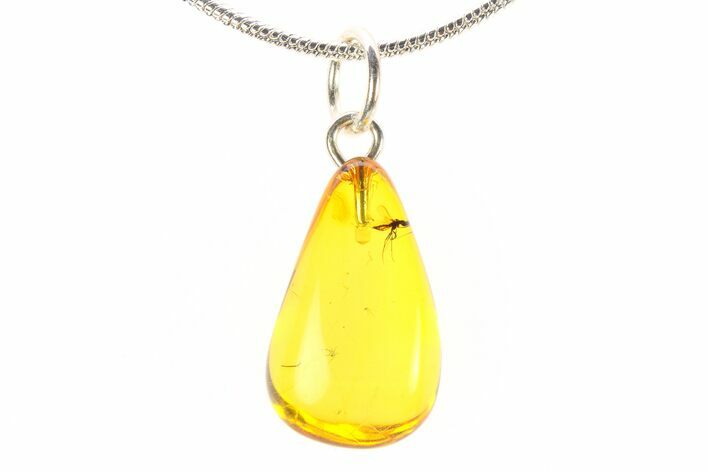 Polished Baltic Amber Pendant (Necklace) - Contains Fly! #288870